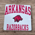 Razorback magnet