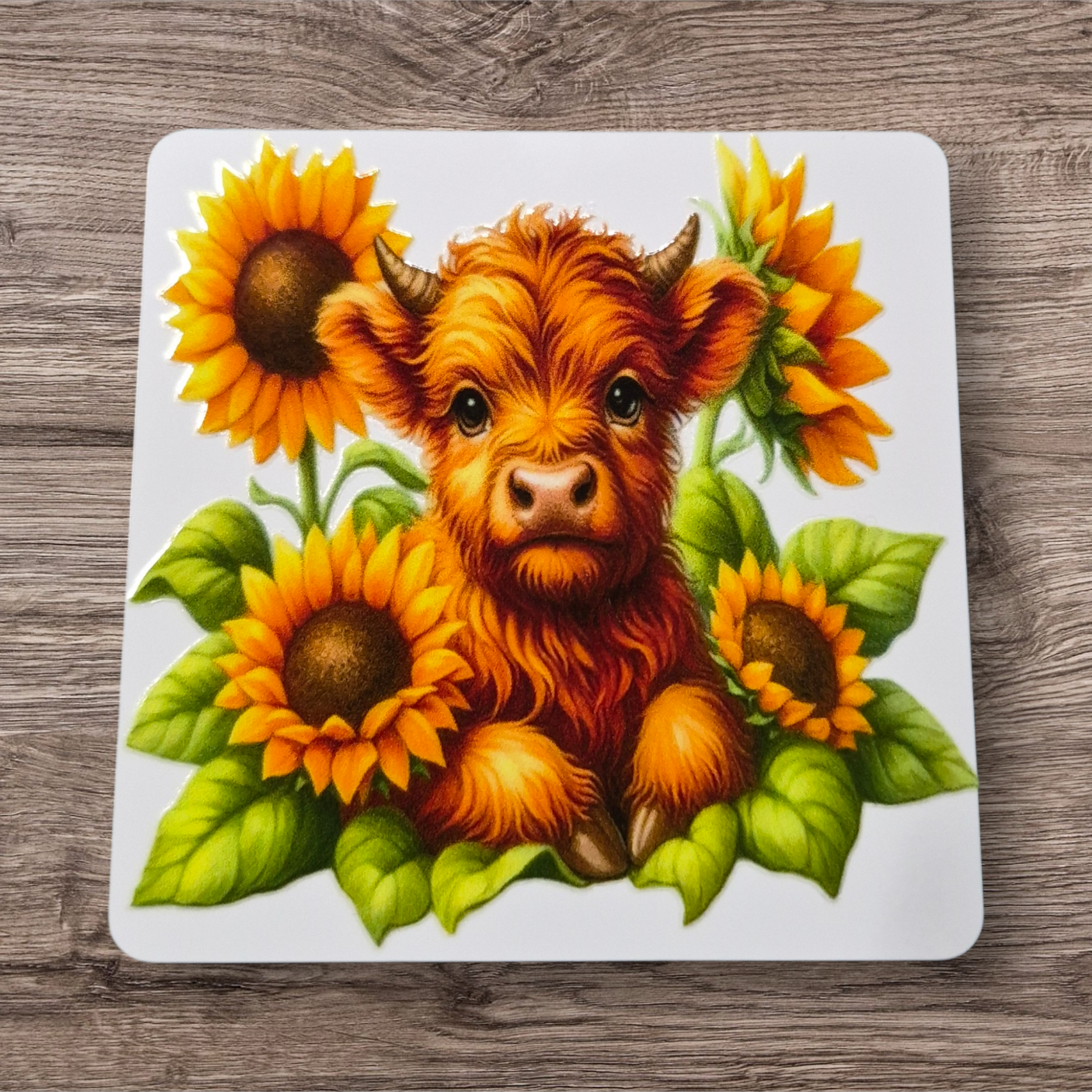 Metal Magnet with Design